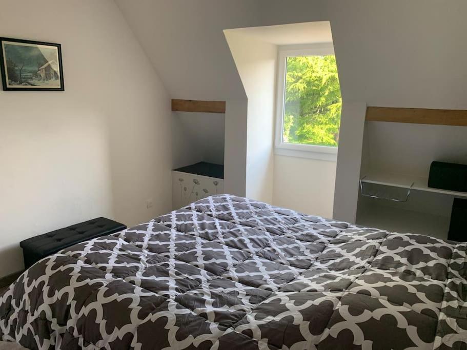 Appartement **** T2 - 2+2. Entierement Neuf. Bagnères-de-Bigorre